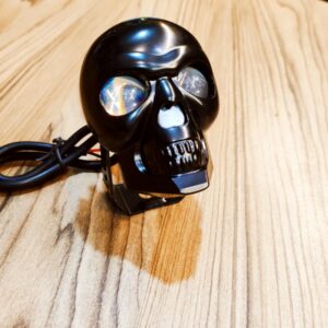 LED Skull Projector