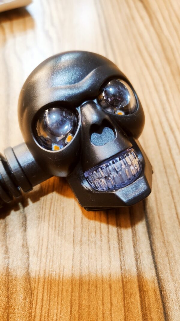 Indicator Skull - Image 2