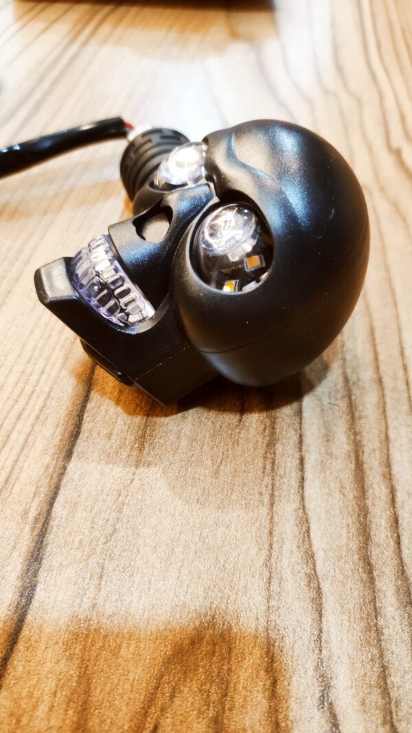 Indicator Skull - Image 3